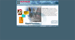 Desktop Screenshot of bizinsights.com